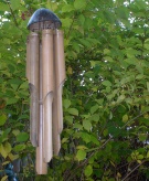 S6300690.jpg