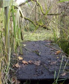 S6300827.jpg