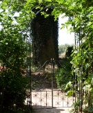 S6300983.jpg